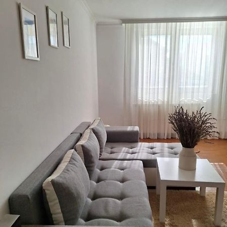 Surcin Apartment Ledine Buitenkant foto